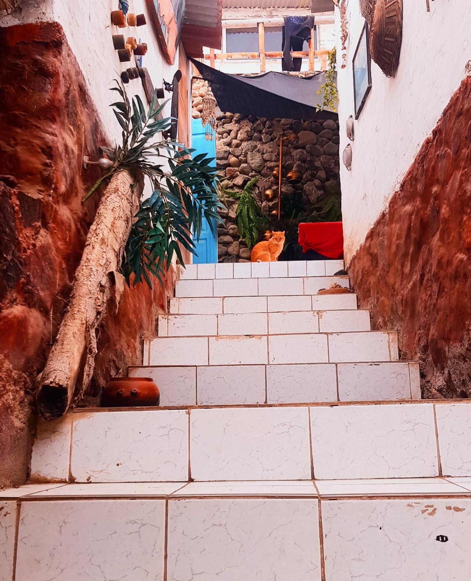 Apartamento Huanchaco Surf Camp Exterior foto